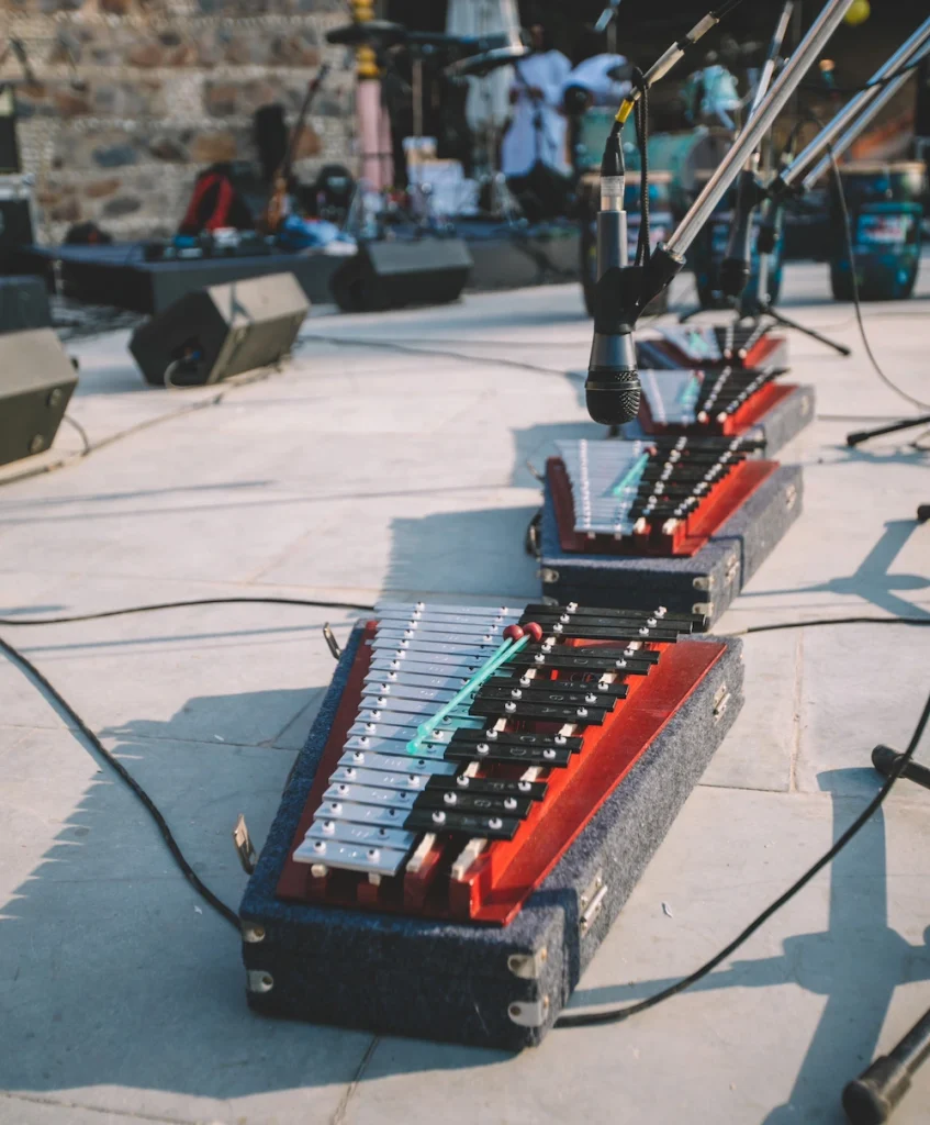 Music Instrument